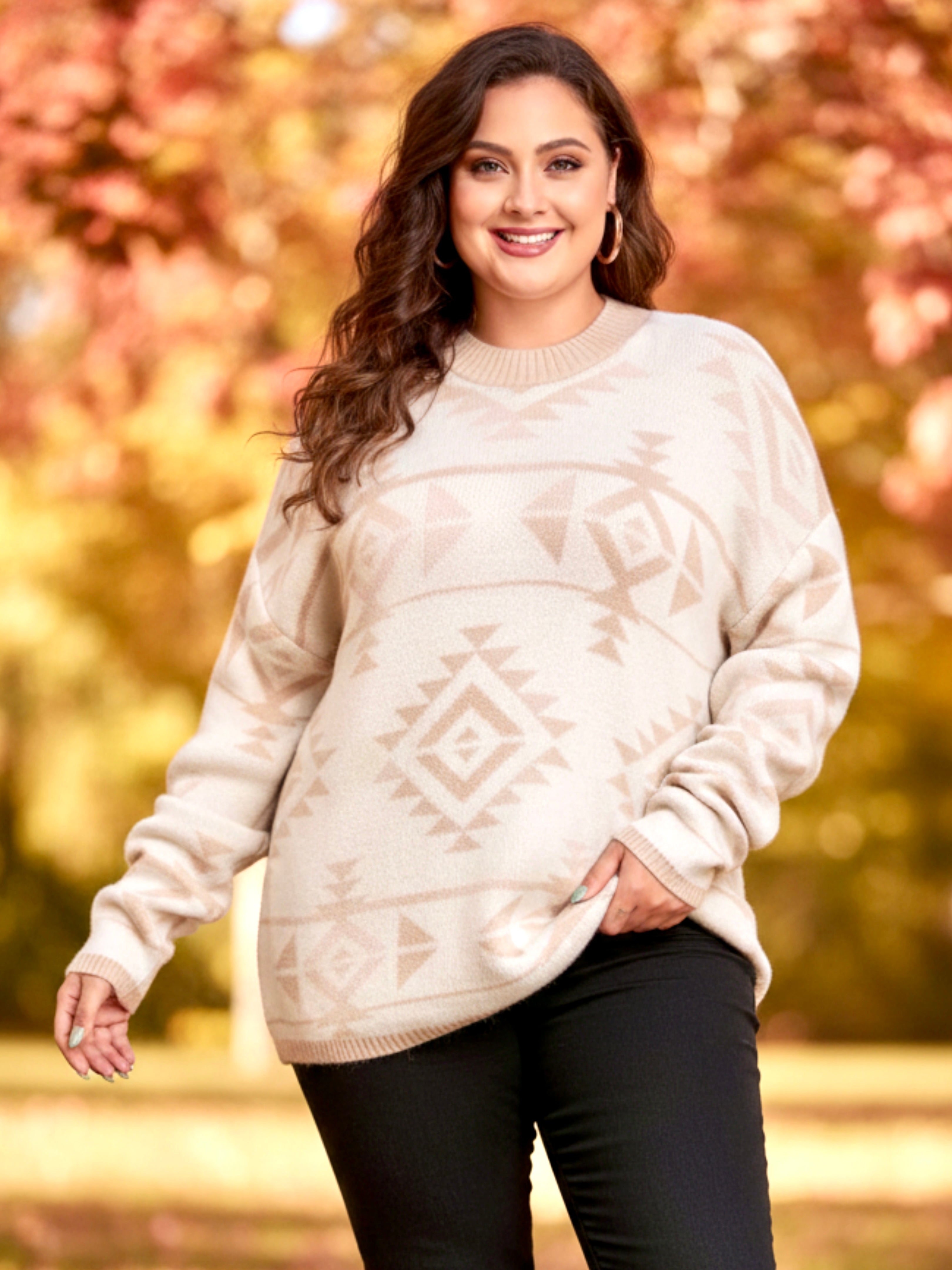 Plus Size Western Aztec Long Sleeve Sweater