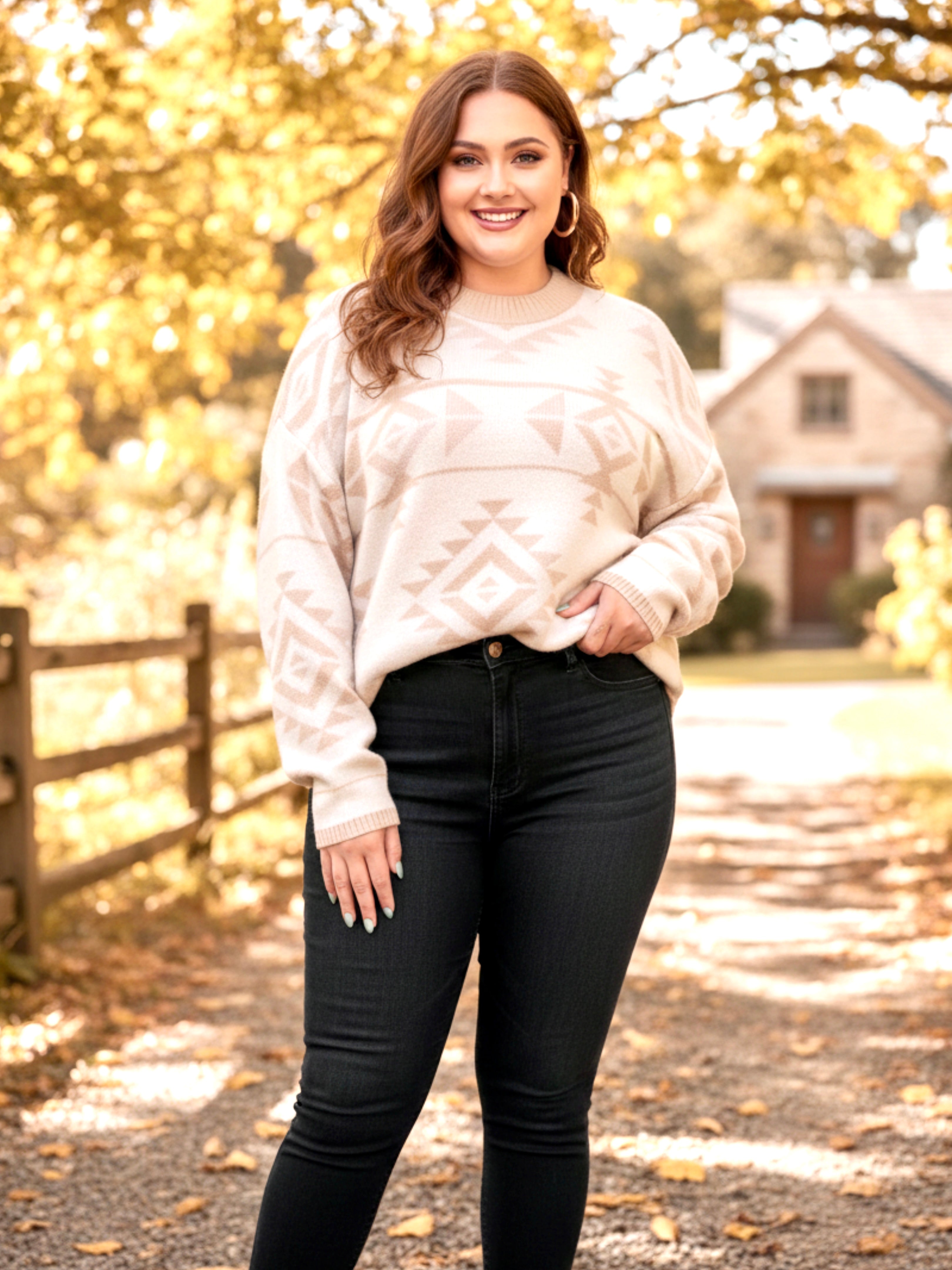 Plus Size Western Aztec Long Sleeve Sweater