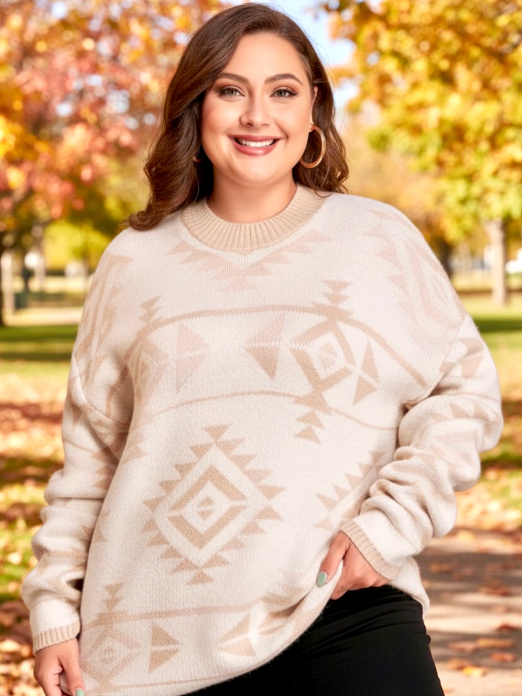 Plus Size Western Aztec Long Sleeve Sweater