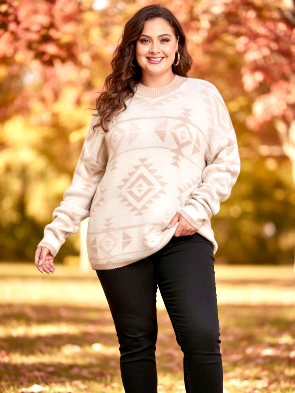 Plus Size Western Aztec Long Sleeve Sweater